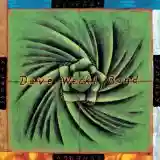 Dave Weckl Band: Synergy