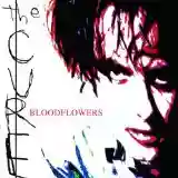 The Cure: Bloodflowers