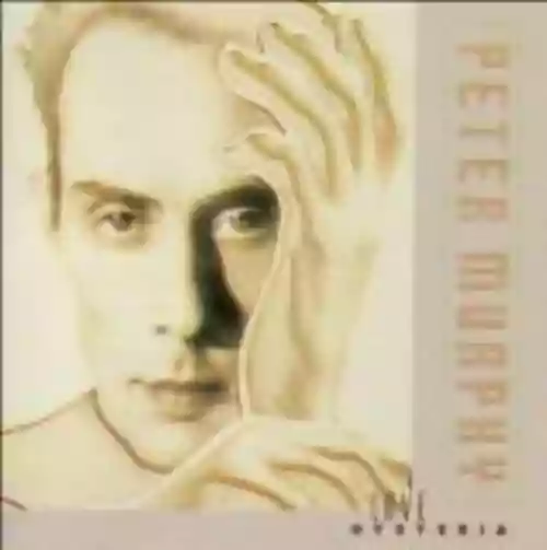 Cover Peter Murphy - Love Hysteria