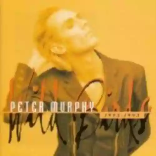 Cover Peter Murphy - Wild Birds 1985-1995