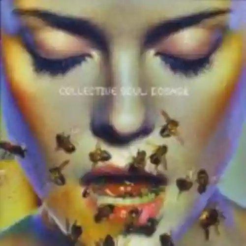 Cover di Dosage