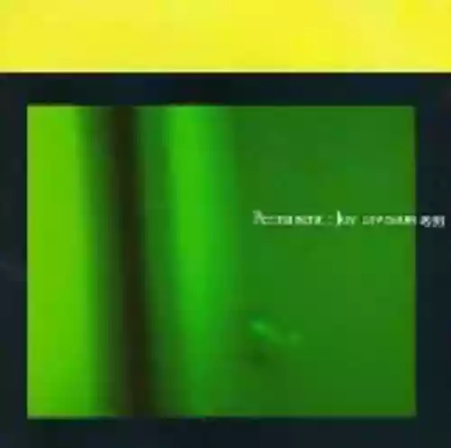 Cover Joy Division - Permanent