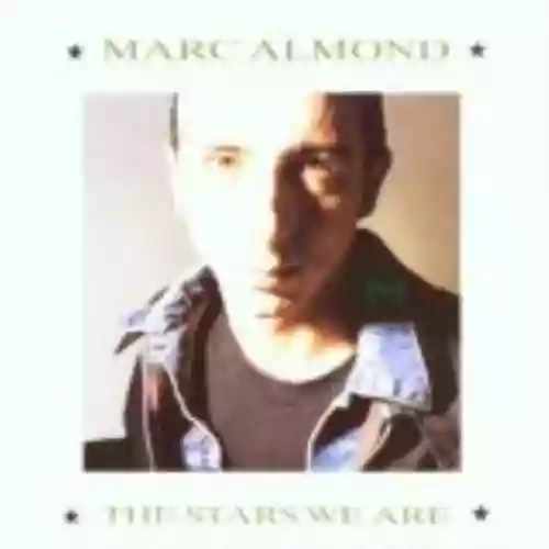 Cover di The Stars We Are