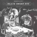 <b>Okkervil River</b> • Black Sheep Boy
