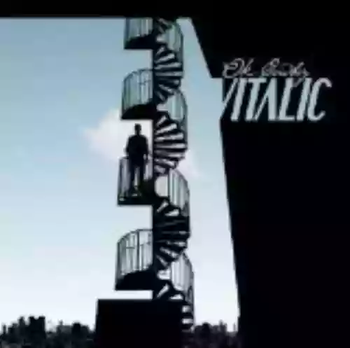 Cover Vitalic - OK Cowboy