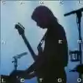 <b>Camel</b> • Never Let Go