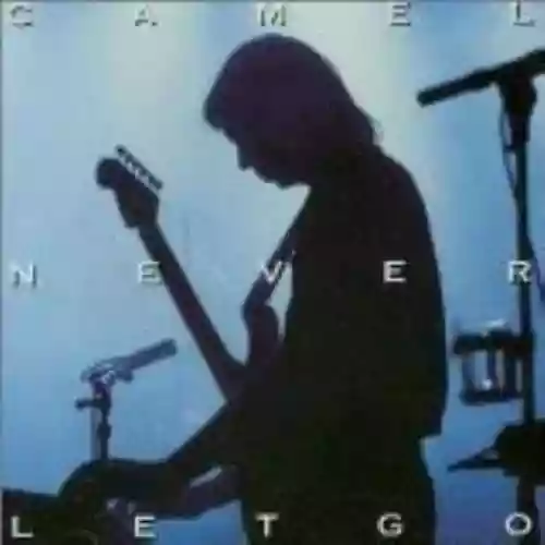 Cover Camel - Never Let Go