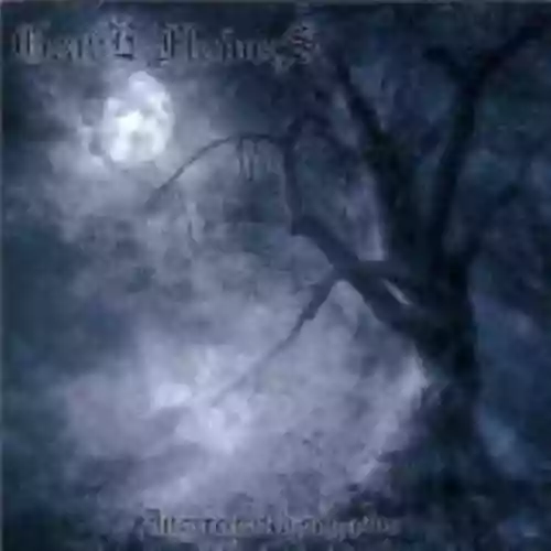 Cover di Incarcerated Sorrows