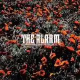 The Alarm: In the Poppy Fields