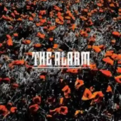 Cover di In the Poppy Fields