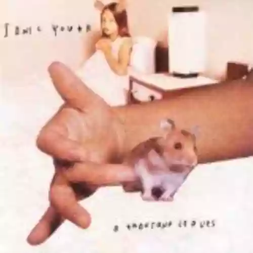 Cover Sonic Youth - A Thousand Leaves