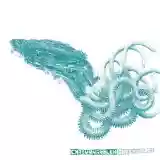 Chad Van Gaalen: Infiniheart
