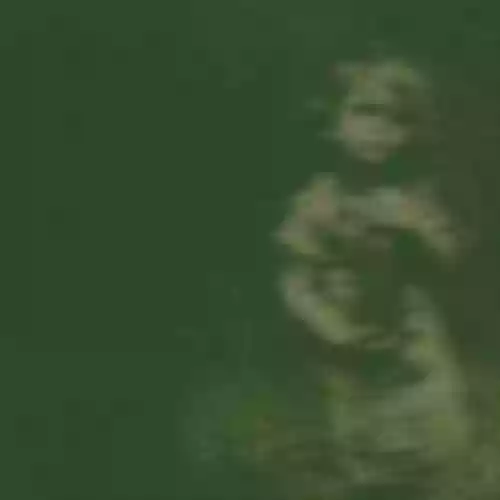 Cover di IV: The Eerie Cold