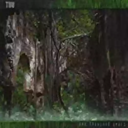 Cover Tuu - One Thousand Years