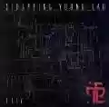 <b>Strapping Young Lad</b> • City