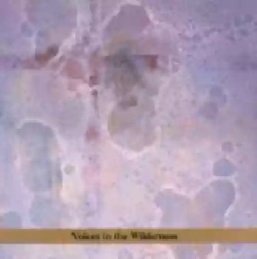 Cover John Zorn - Voices in the Wilderness