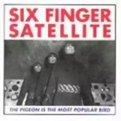 Cover di The Pigeon Is the Most Popular Bird