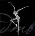 <b>Dave Matthews Band</b> • Stand Up
