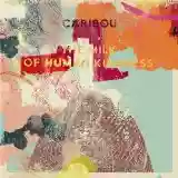 Caribou: The Milk Of Human Kindness