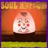 Soul Asylum: Made to Be Broken
