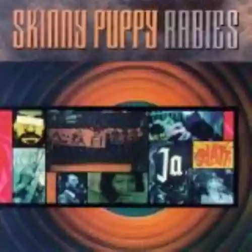 Cover di Rabies