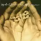 Michael Franks: Dragonfly Summer