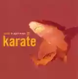 Karate: In the Fishtank 12