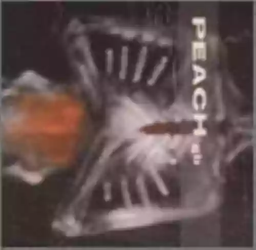 Cover di Giving Birth to a Stone