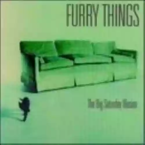 Cover Furry Things - The Big Saturday Illusion
