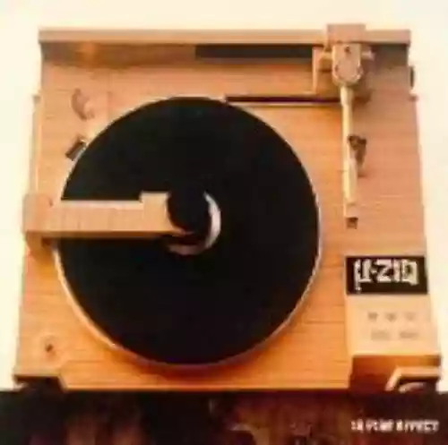 Cover µ-Ziq - In Pine Effect