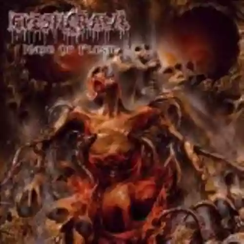 Cover di Made of Flesh