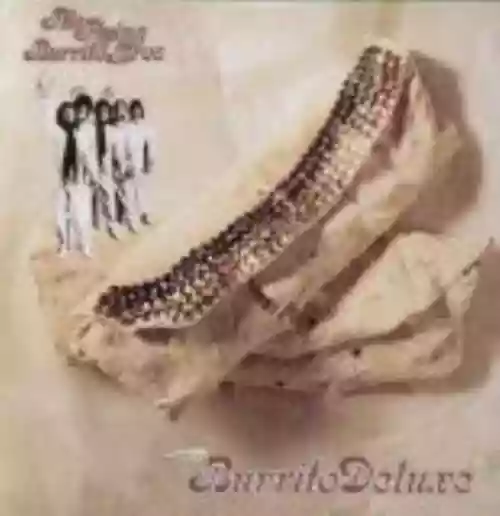 Cover di Burrito Deluxe