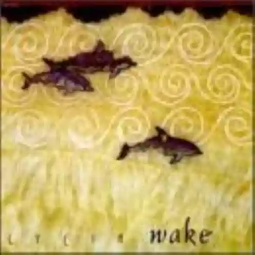 Cover di Wake