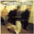 <b>The Gathering</b> • if_then_else