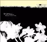 Hope Sandoval & the Warm Inventions: Bavarian Fruit Bread