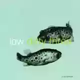 Dirty Three: In the Fishtank, Volume 7