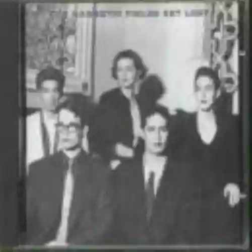 Cover The Magnetic Fields - Get Lost