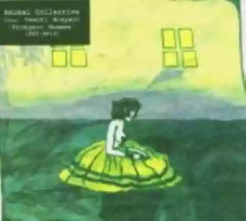 Cover Animal Collective - Prospect Hummer