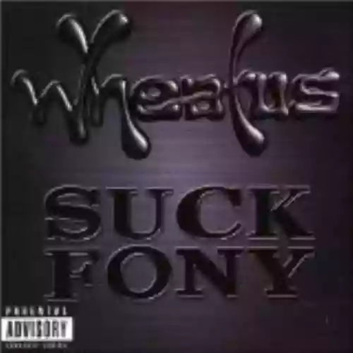Cover di Suck Fony