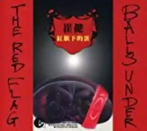 Cover di 红旗下的蛋
