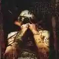 <b>Anaal Nathrakh</b> • The Codex Necro