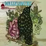 The Wallflowers: Rebel, Sweetheart