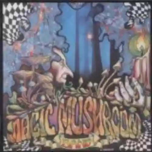 Cover Magic Mushroom Band - Re-Hash