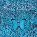 Santana: Borboletta