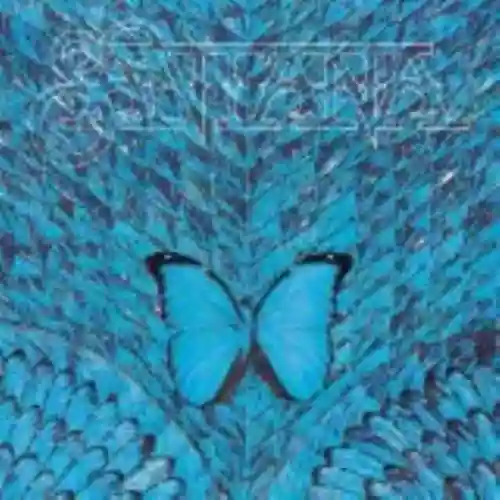 Cover di Borboletta