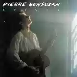 Pierre Bensusan: Spices