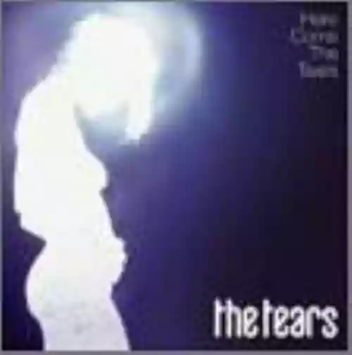 Cover di Here Come the Tears