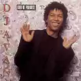 Djavan: Bird Of Paradise