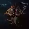<b>Ween</b> • The Mollusk