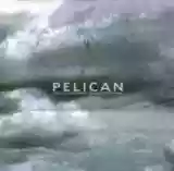 Pelican: The Fire In Our Throats Will Beckon The Thaw